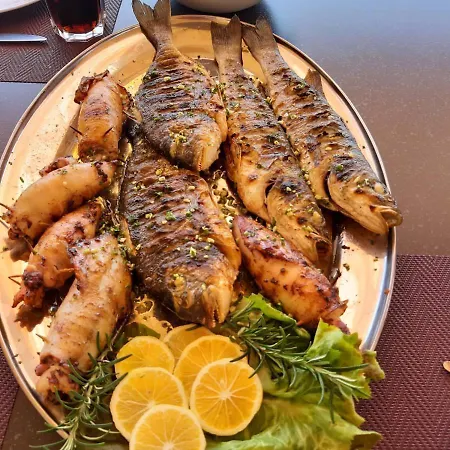 Dalmatina Mit Pool